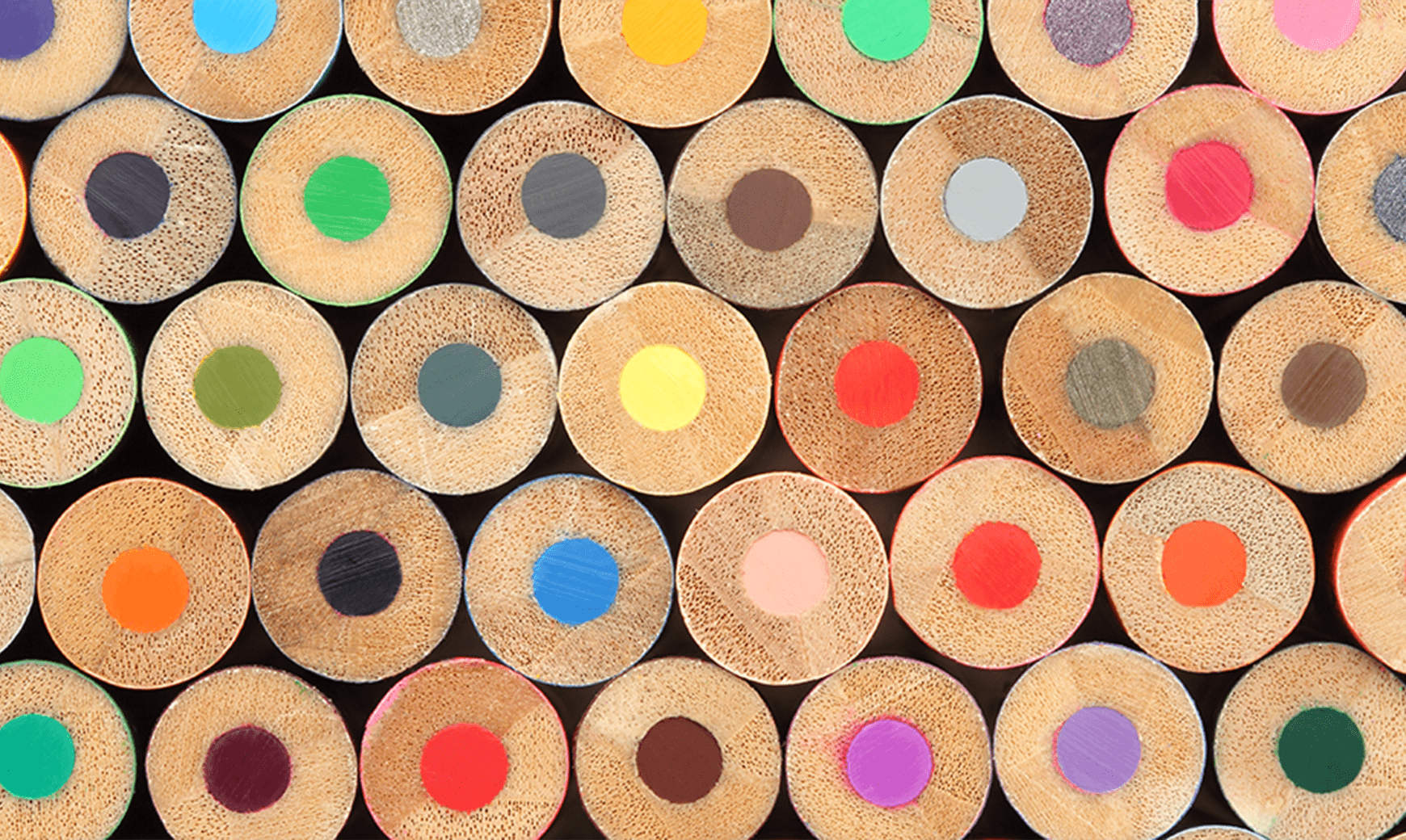 Insights Diversity Multi-Color Pencils