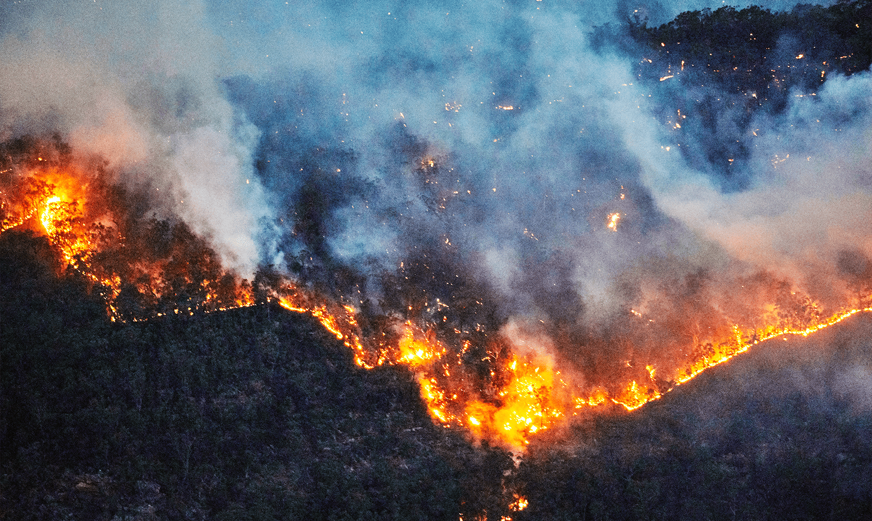 Media item displaying Business Interruption Claims for Wildfires and Related Losses