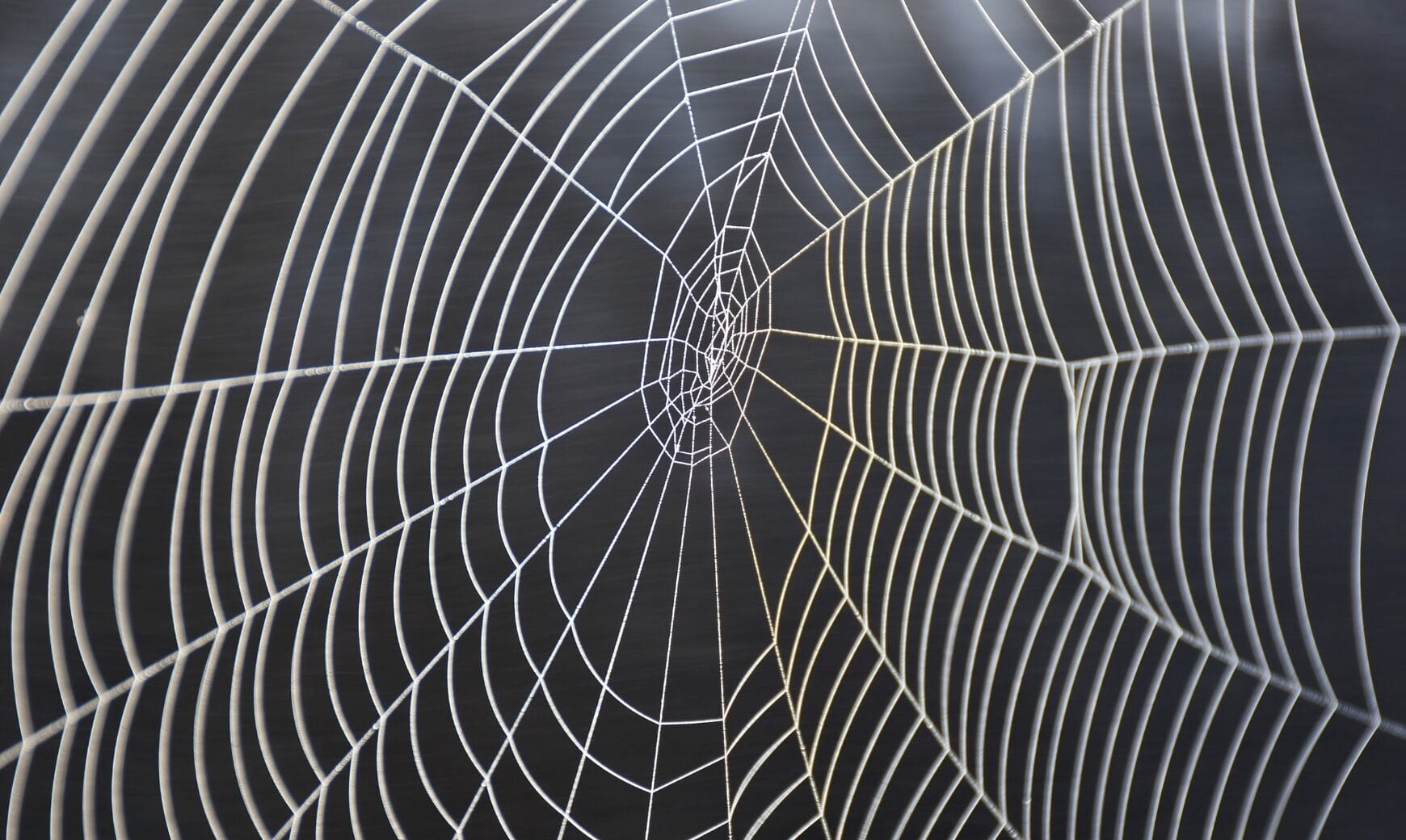 Media item displaying Don’t Get Caught in Scattered Spider’s Web